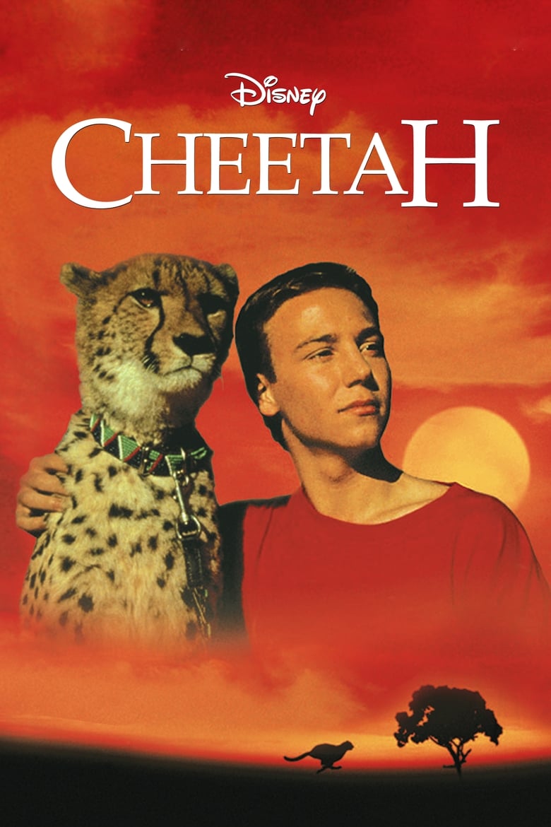 Cheetah